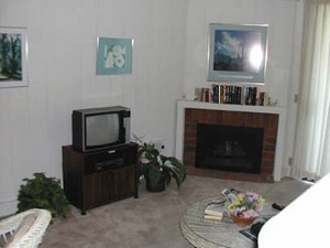 TV & Fireplace